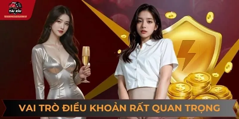 Vai trò chính sách điều khoản rất quan trọng