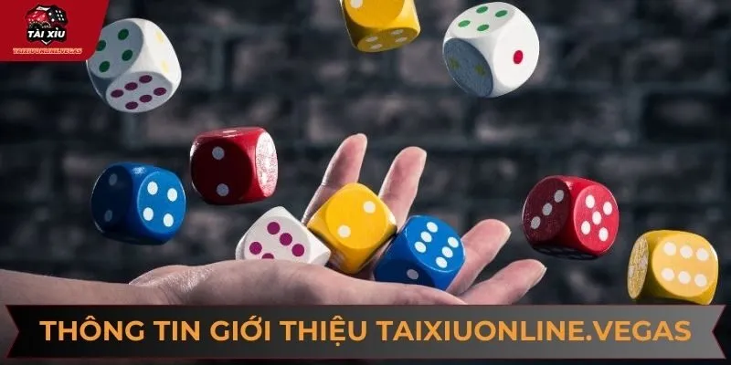 Một vài thông tin giới thiệu taixiuonline.vegas