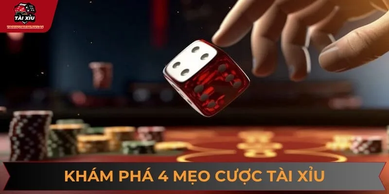 Khám phá kinh nghiệm cá cược tài xỉu từ cao thủ lâu năm